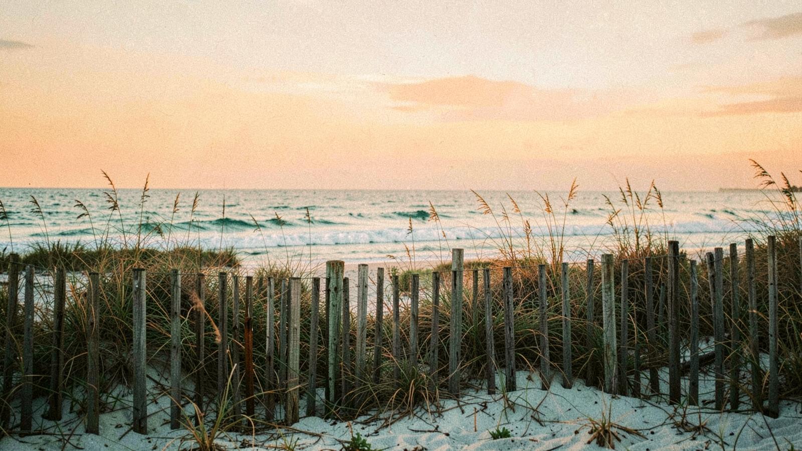 Sea oats and a weathered dune fence along an Outer Banks beach at sunset